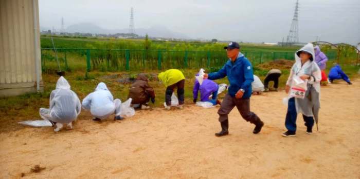 雨の中の除草。道に沿って、雨具を着た大人たちがこちらに背を向けてしゃがんでいる。手前には2名の大人が歩いている。