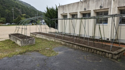 三上小学校にあるひょうたん畑の写真