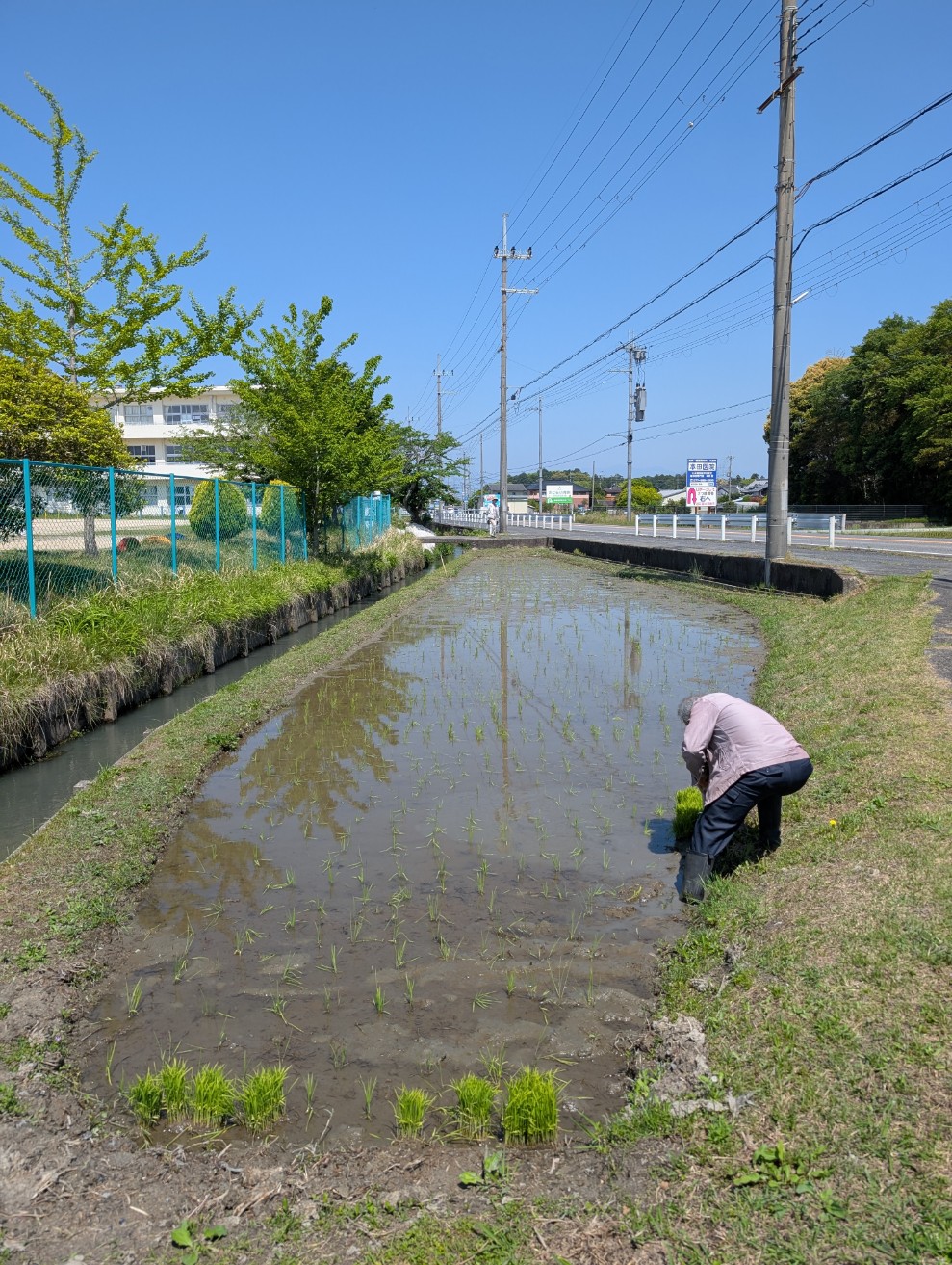 他のお世話をしてくださっている様子