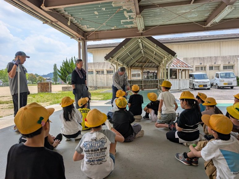 原産地は北アフリカ