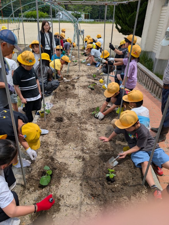 ひょうたん植付の様子