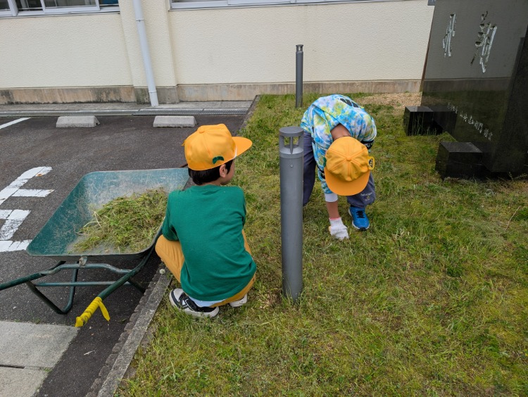 草引き1年