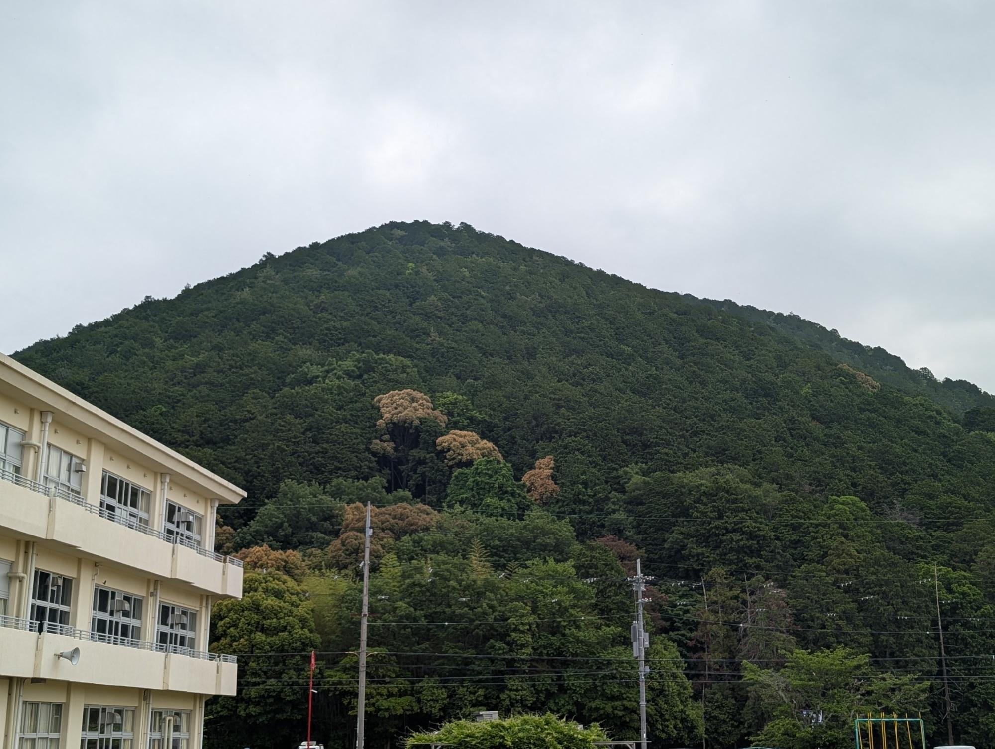 修学旅行の朝