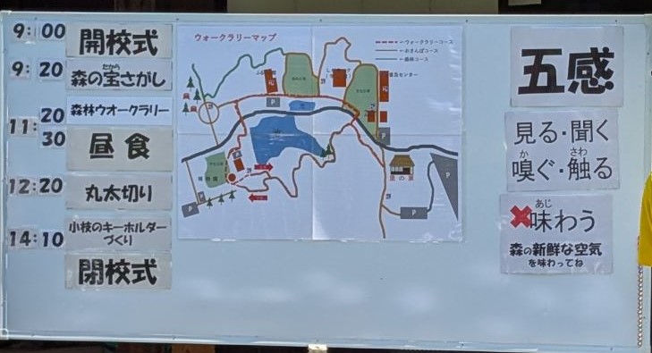 やまのこスケジュール