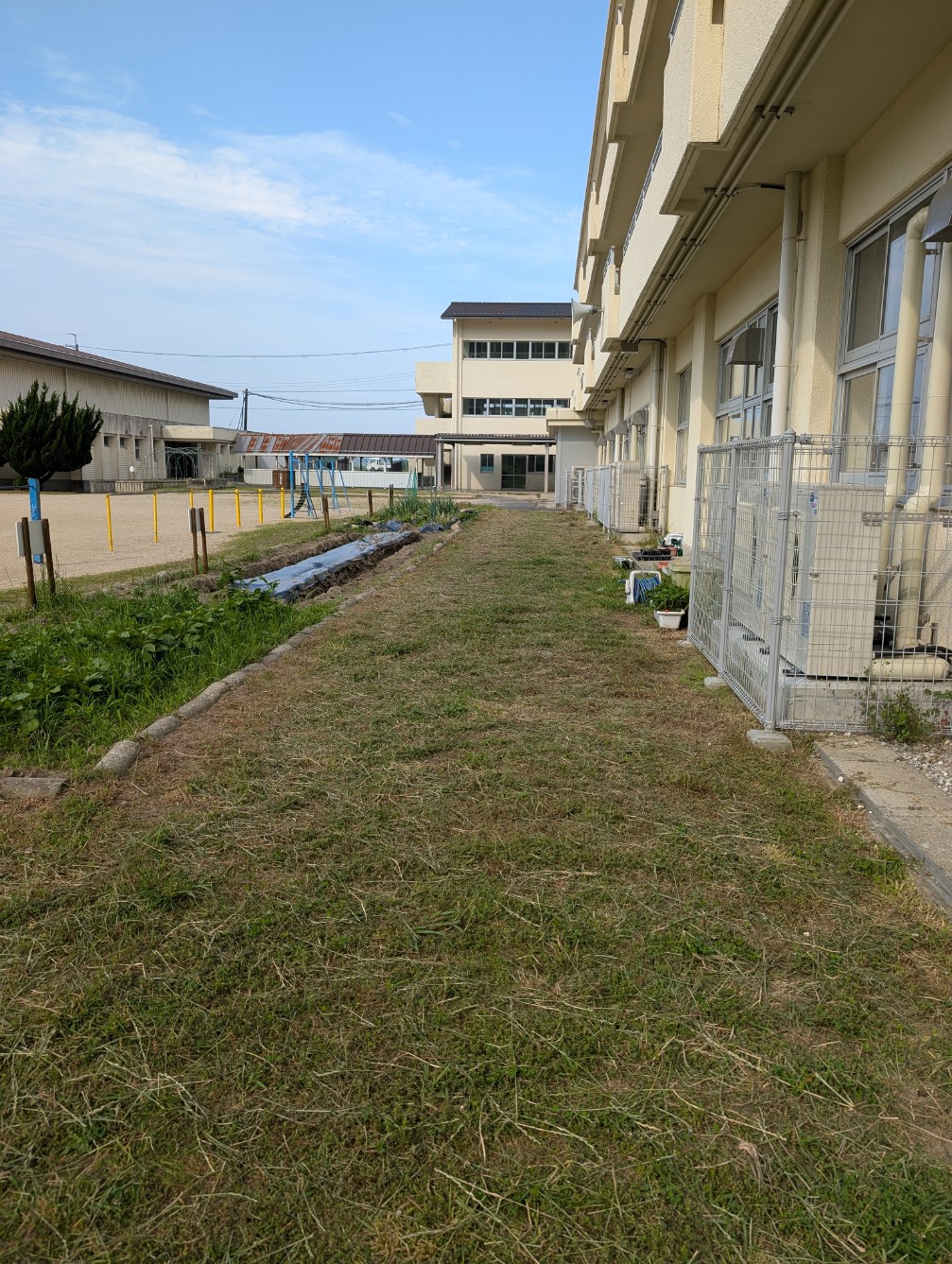 南館前草刈りのあと