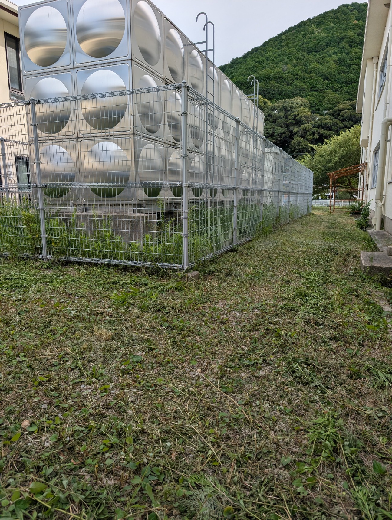 校地内草刈り後20250922