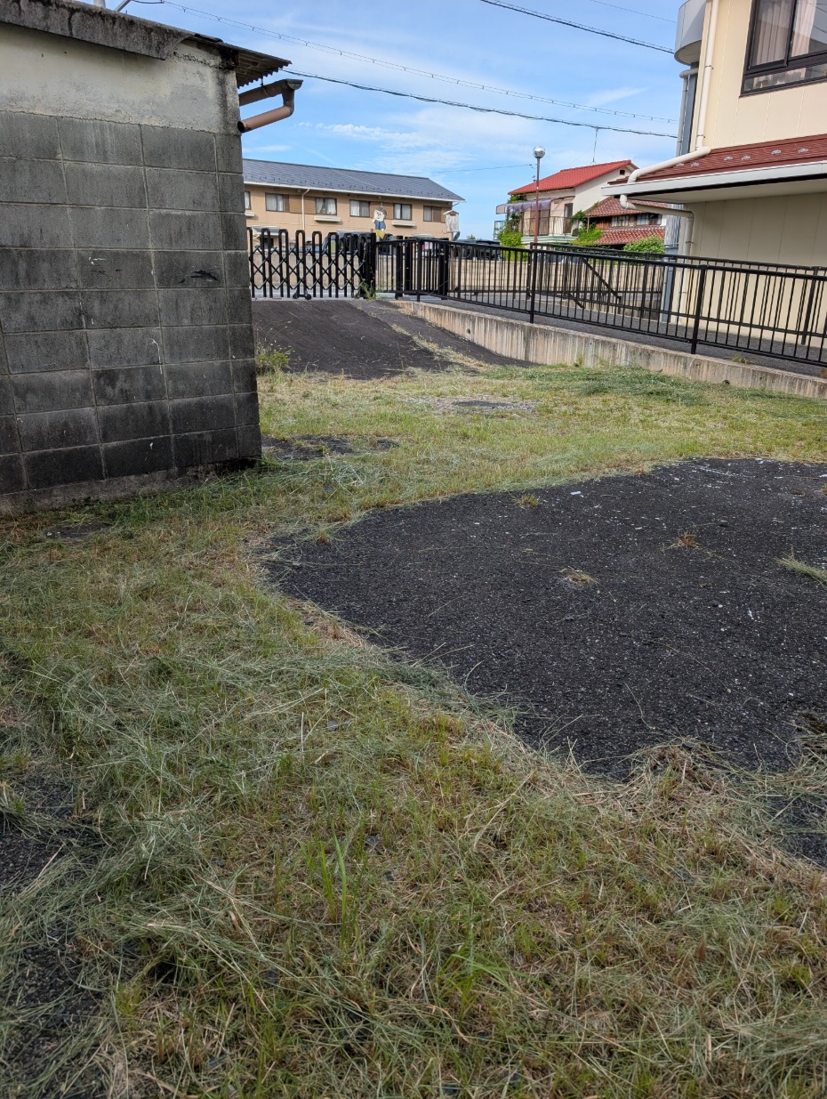 校舎裏草刈り後20250922