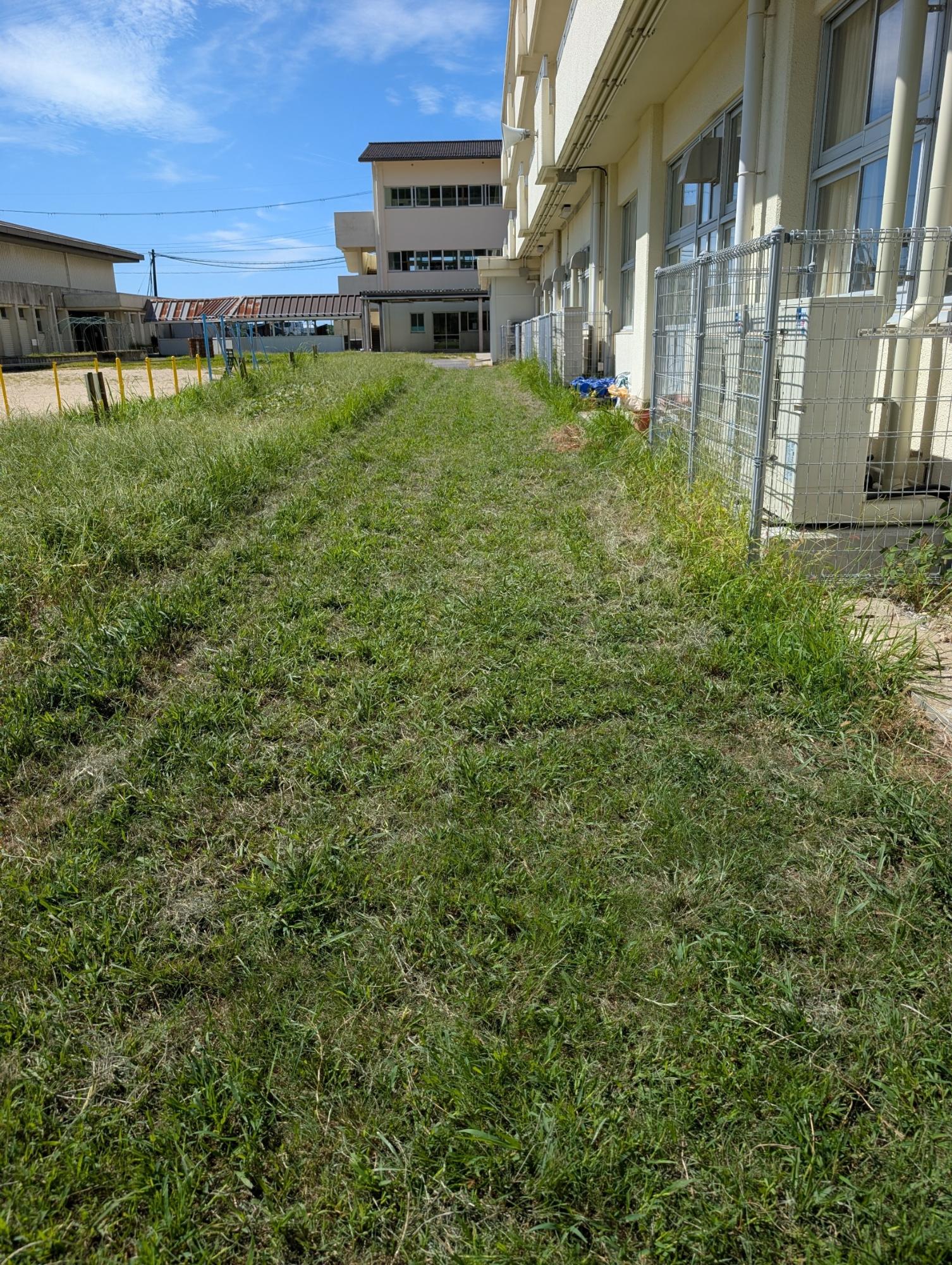 南カヌラ畑横草刈り後