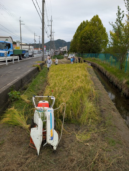 稲刈り準備3