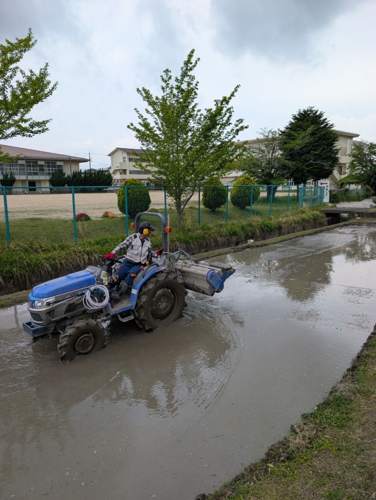 学習田しろかき同窓会