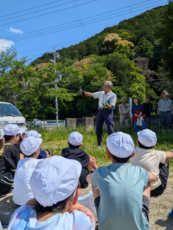 田植え説明