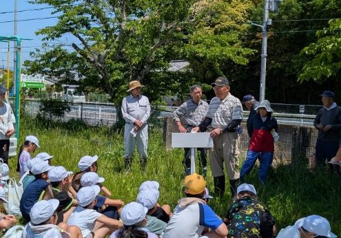 看板せつめいレンゲ米