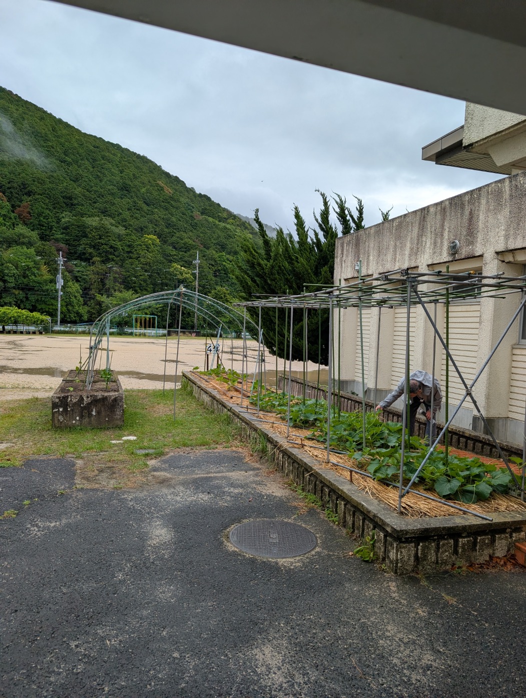 ひょうたん台風備え1