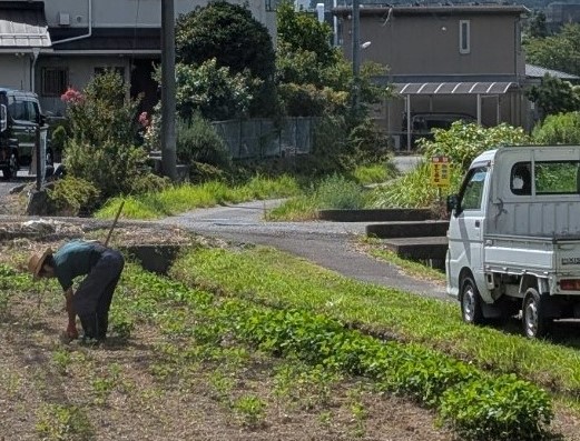 みかみっこ未来団様大豆畑