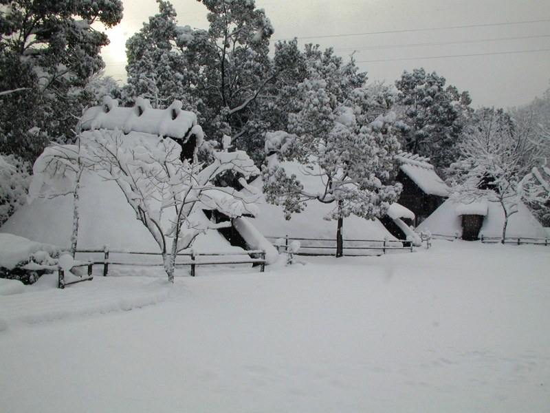 （写真）雪の朝