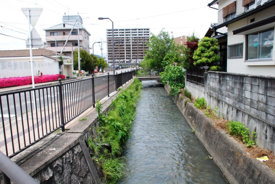 （写真）2011年5月31日撮影の祇王井川 この日は台風の影響で増水しています。