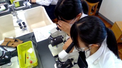 顕微鏡をのぞき込む生徒