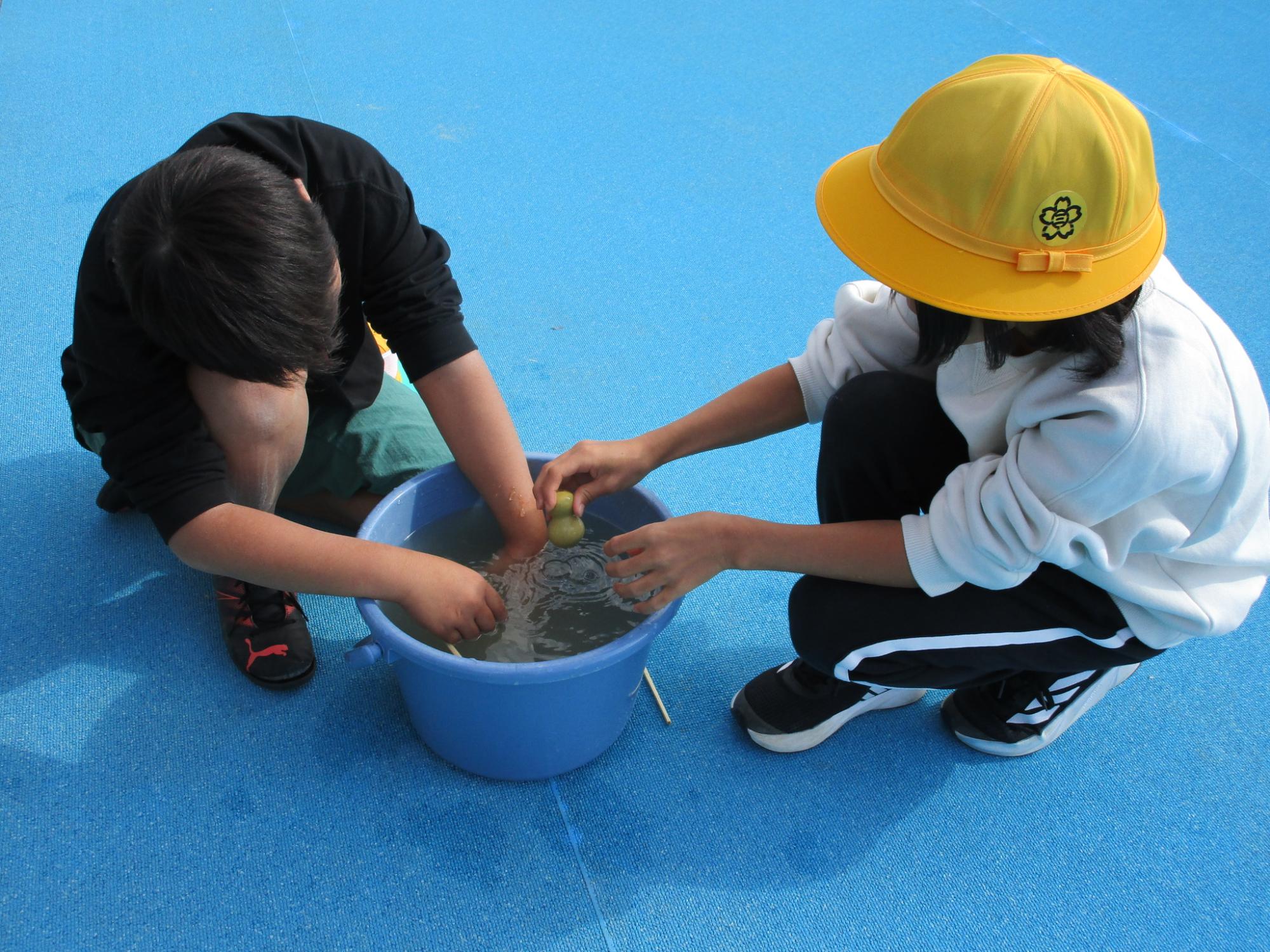 ひょうたん種出し