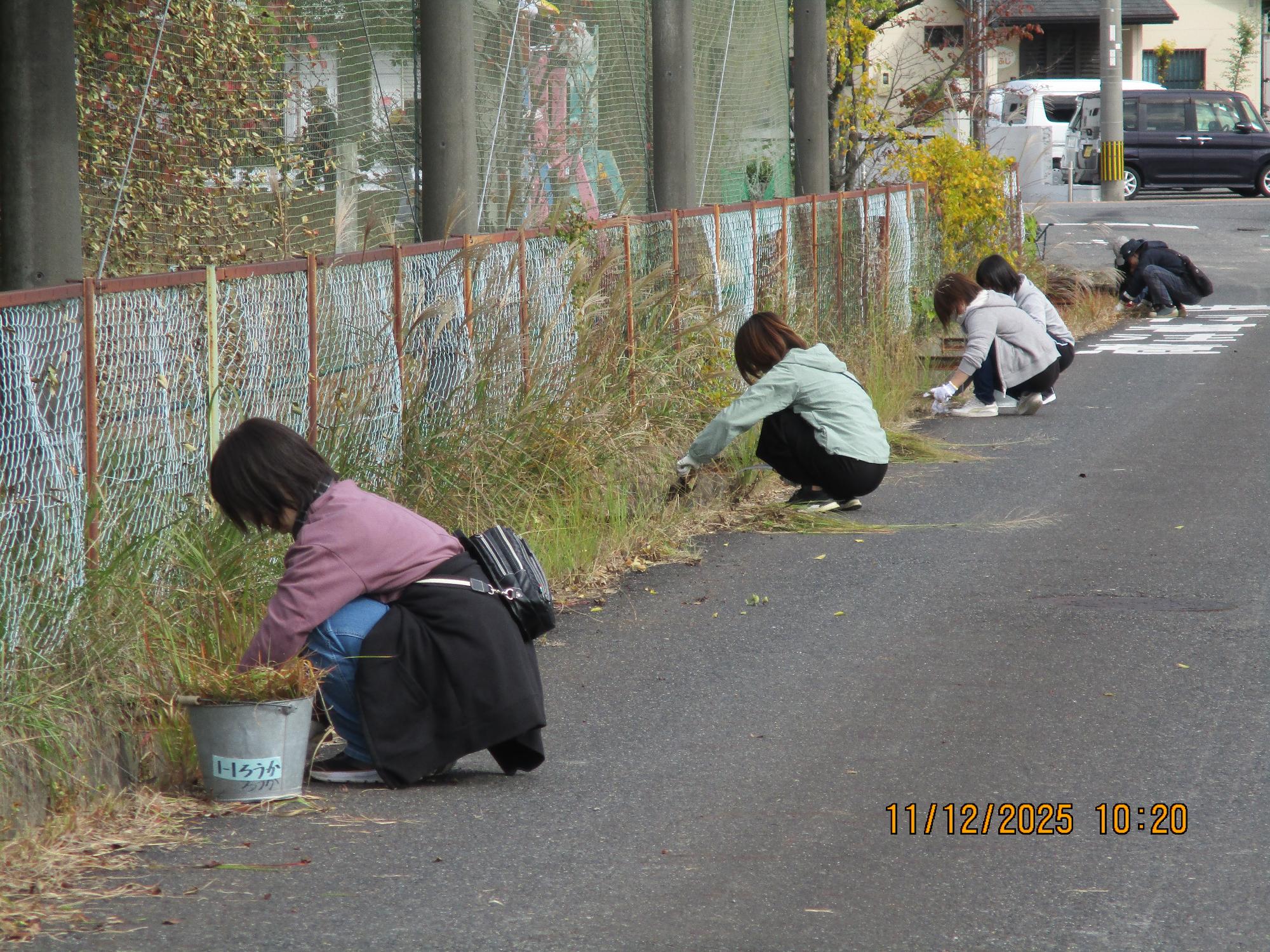 マラソンコース草刈りの様子