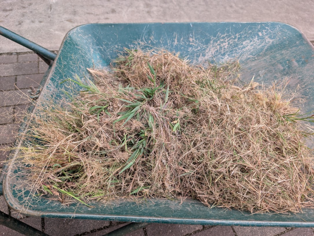 たくさんとれた草