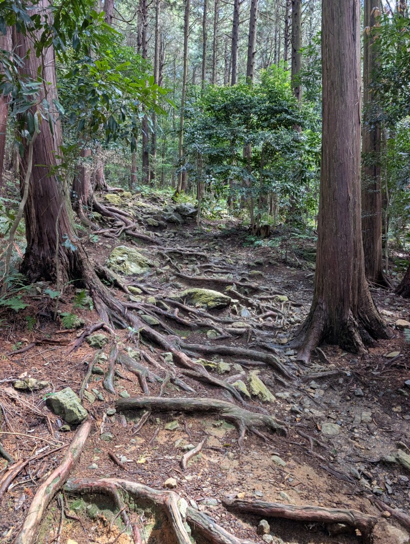 20260427三上山登山下見