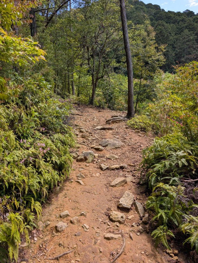 20260327三上山登山下見2