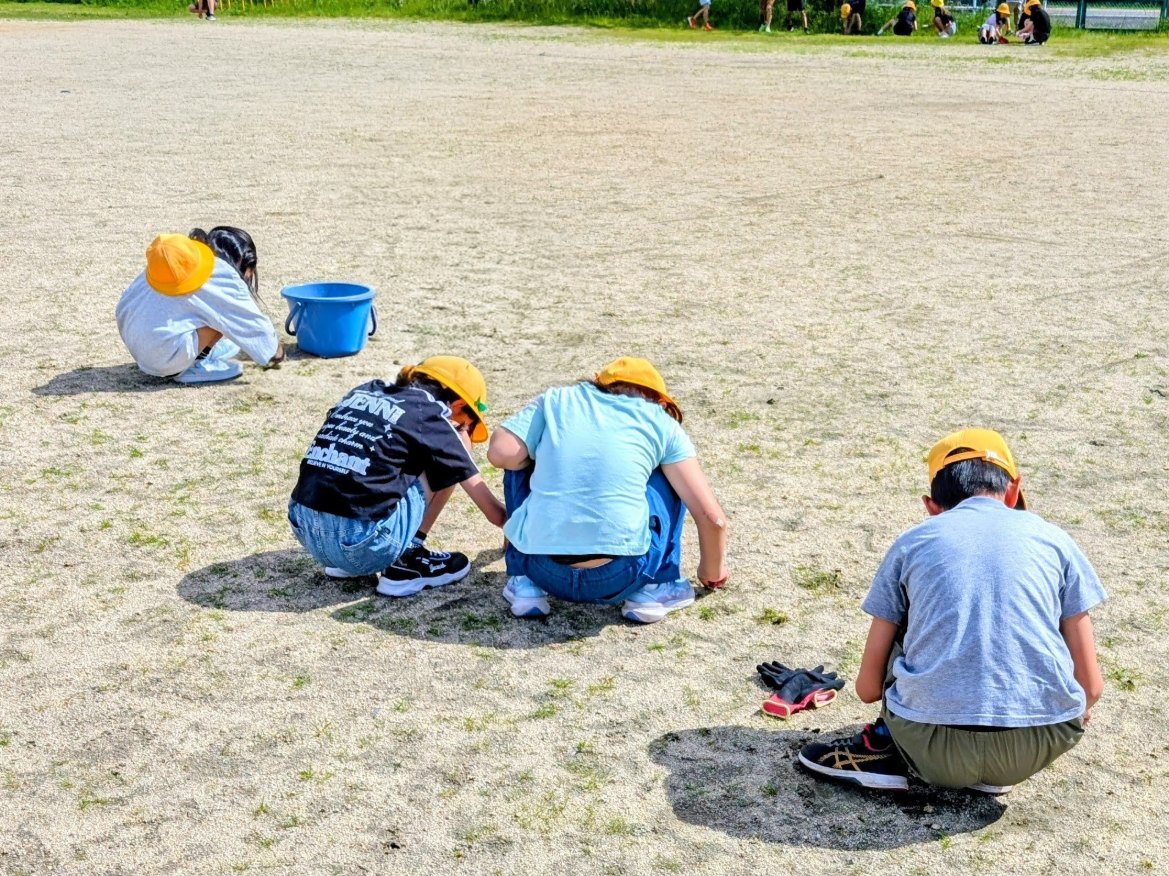 運動場の草引き