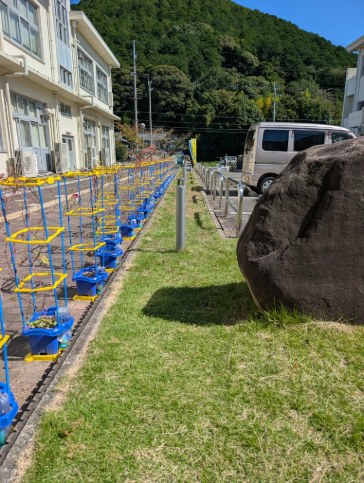 シルバー人材センター様ありがとうございました